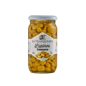 Lupines | La Tranquilina